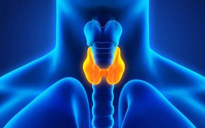 Signs and Symptoms of Hypothyroidism:
