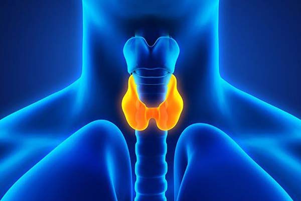 Signs and Symptoms of Hypothyroidism: